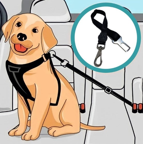 Dog Seatbelt