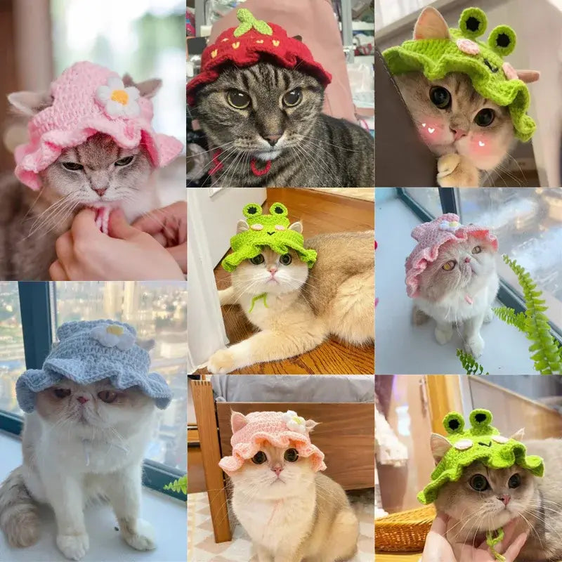 Pet Hat