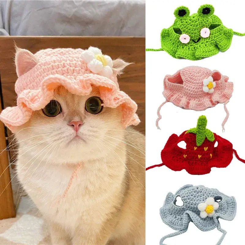 Pet Hat