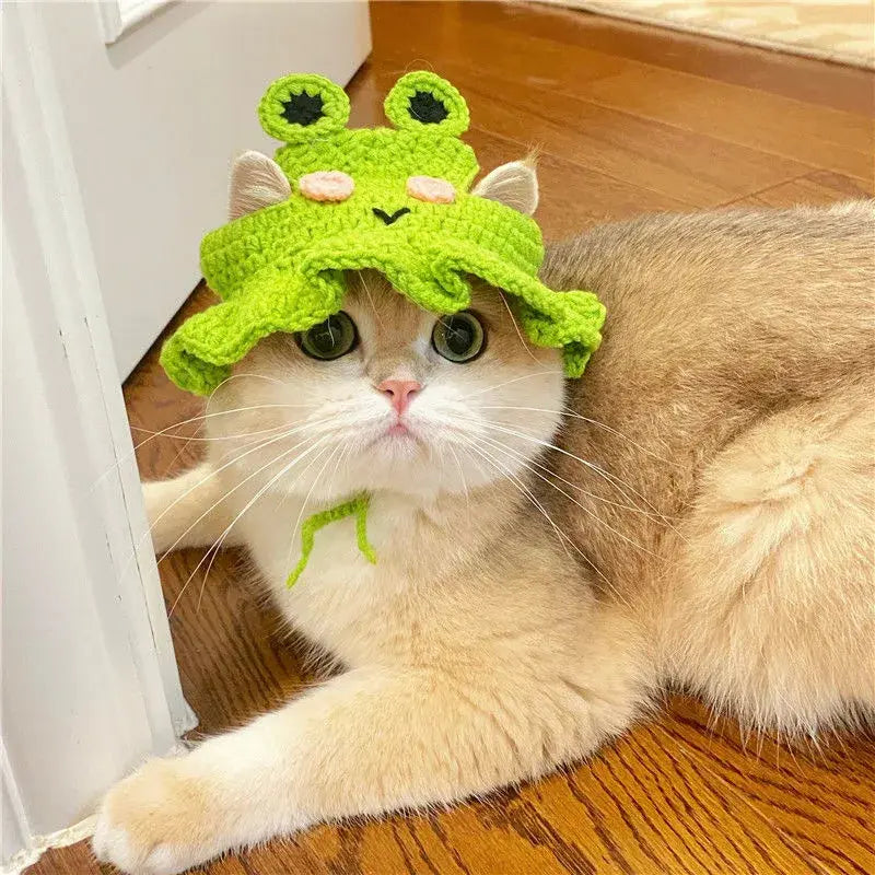 Pet Hat