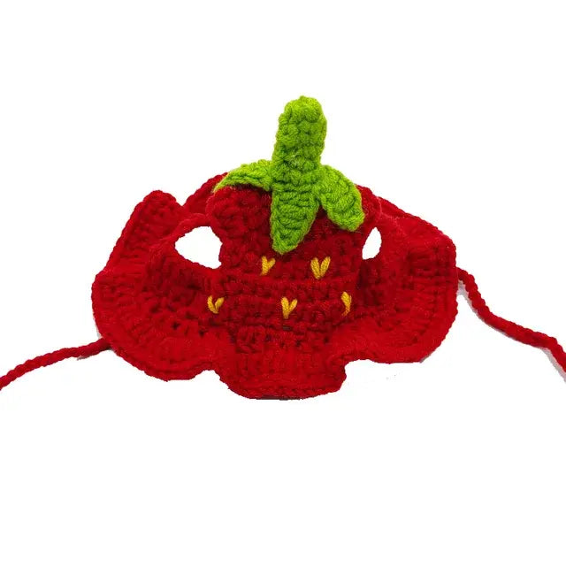 Pet Hat