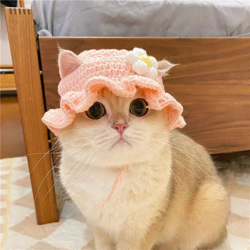 Pet Hat