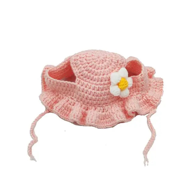Pet Hat